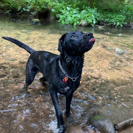 Seewald: Grosse Sauna, Garten | 5 Min. | 20 Personen Casa de Férias Seewald