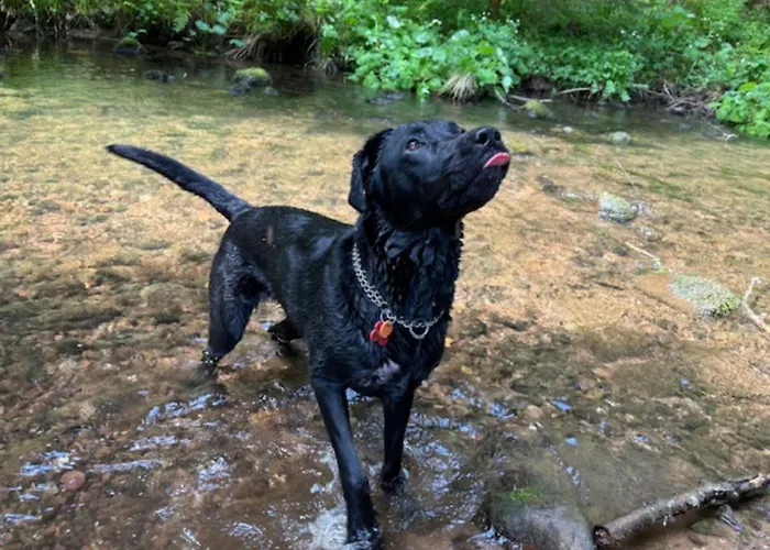 Seewald: Grosse Sauna, Garten | 5 Min. | 20 Personen بيت للعطل Seewald